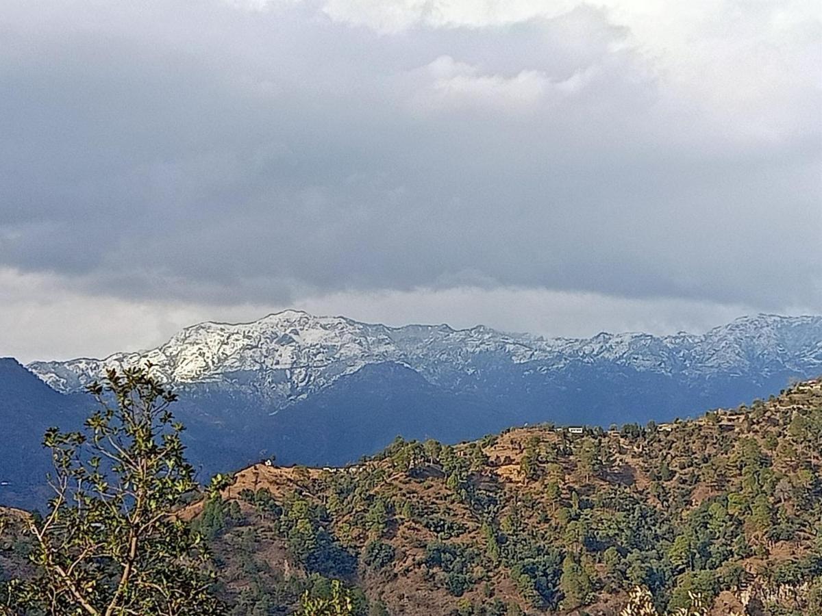 Shiva Valley Resort Kokhliyal Gaon Екстер'єр фото
